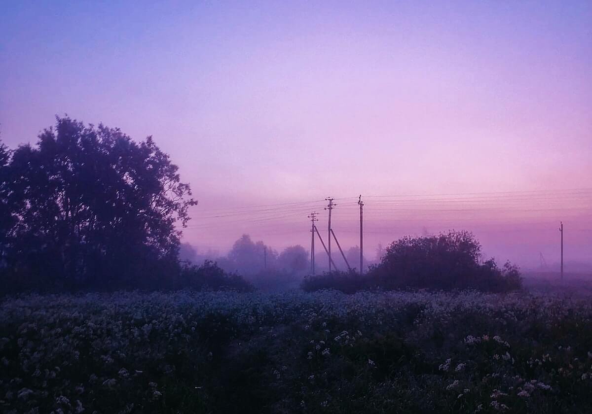 KAIYUN-【夜读】佩莱可以走 瓦尔加留下！